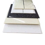 پیویسی داخلہ چھت پینل